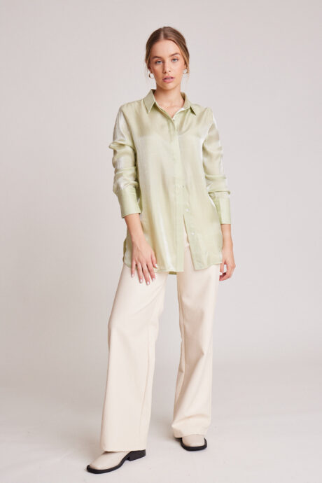 CAMISA FRANCIS