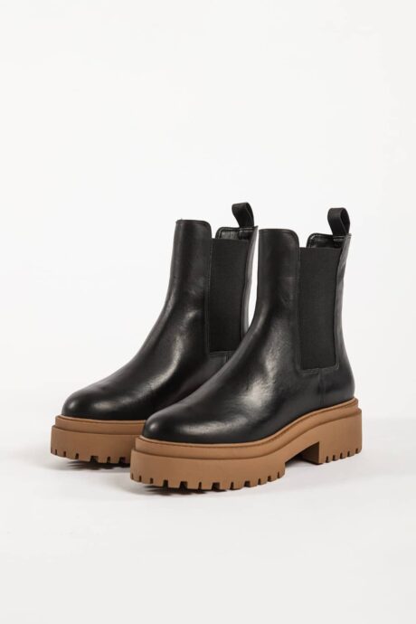 BOTA CEPHEUS - Imagen 3