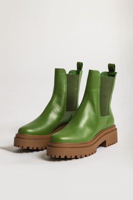 BOTA CEPHEUS - Imagen 7