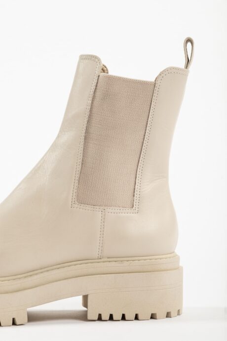 BOTA CEPHEUS - Imagen 16