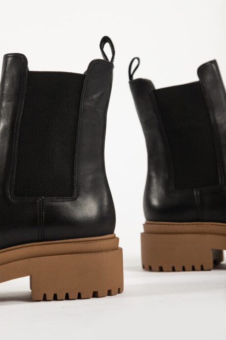 BOTA CEPHEUS - Imagen 14