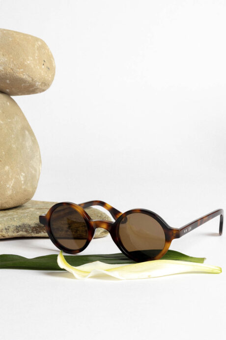 LENTES DE SOL APOLO - Imagen 7