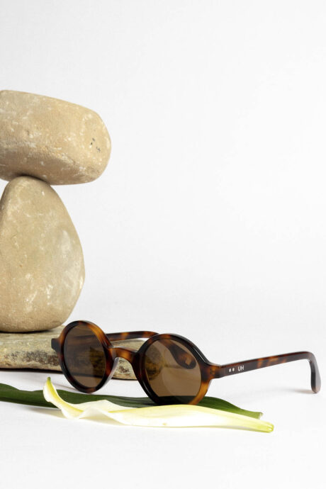 LENTES DE SOL APOLO - Imagen 8
