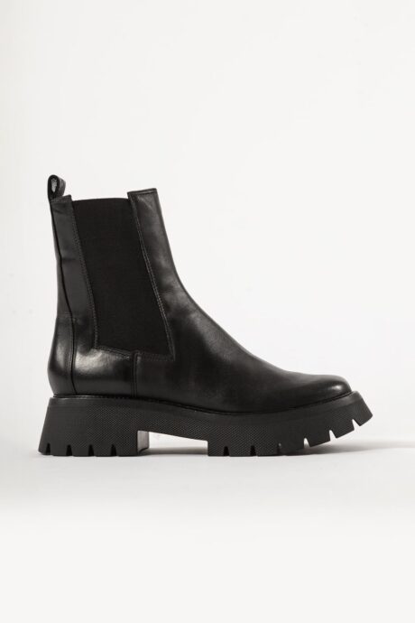 BOTA CETUS